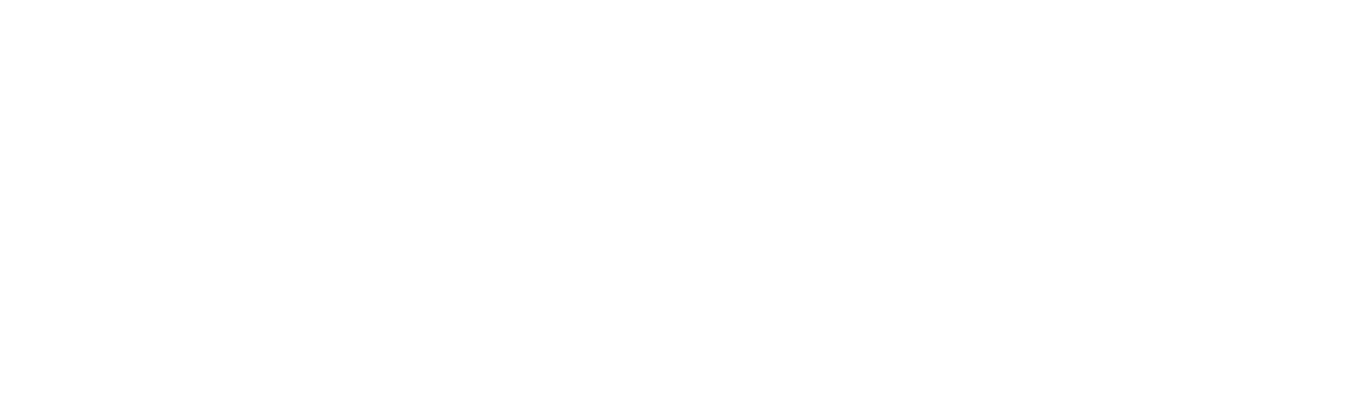 EMGI srl